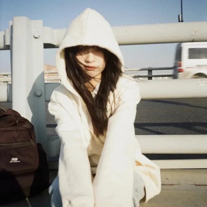 庆余年之大赵逍遥王